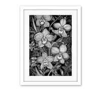 Artery8 White on Black Blooming Orchid Flower Plants Artwork Framed Wall Art Print 18X24 Inch