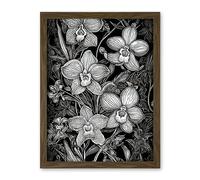 Artery8 White on Black Blooming Orchid Flower Plants Artwork Framed Wall Art Print 18X24 Inch