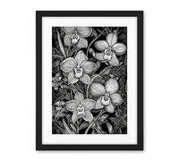 Artery8 White on Black Blooming Orchid Flower Plants Artwork Framed Wall Art Print 18X24 Inch