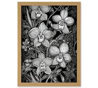 Artery8 White on Black Blooming Orchid Flower Plants Artwork Framed Wall Art Print A4