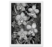 Artery8 White on Black Blooming Orchid Flower Plants Artwork Framed Wall Art Print A4