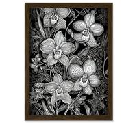 Artery8 White on Black Blooming Orchid Flower Plants Artwork Framed Wall Art Print A4