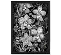 Artery8 White on Black Blooming Orchid Flower Plants Artwork Framed Wall Art Print A4