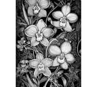 Artery8 White on Black Blooming Orchid Flower Plants Extra Large XL Wall Art Poster Print
