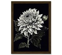 Artery8 White on Black Dahlia Flower Bloom Illustration Artwork Framed A3 Wall Art Print