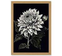 Artery8 White on Black Dahlia Flower Bloom Illustration Artwork Framed A3 Wall Art Print