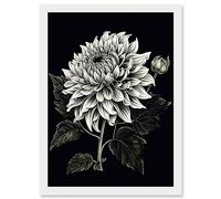 Artery8 White on Black Dahlia Flower Bloom Illustration Artwork Framed Wall Art Print A4