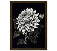 Artery8 White on Black Dahlia Flower Bloom Illustration Artwork Framed Wall Art Print A4