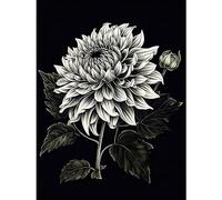 Artery8 White on Black Dahlia Flower Bloom Illustration Large Wall Art Poster Print Thick Paper 18X24 Inch