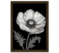 Artery8 White on Black Single Detailed Anemone Flower Artwork Framed A3 Wall Art Print