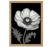 Artery8 White on Black Single Detailed Anemone Flower Artwork Framed A3 Wall Art Print