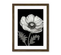 Artery8 White on Black Single Detailed Anemone Flower Artwork Framed Wall Art Print 18X24 Inch
