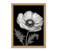 Artery8 White on Black Single Detailed Anemone Flower Artwork Framed Wall Art Print 18X24 Inch