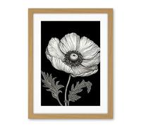 Artery8 White on Black Single Detailed Anemone Flower Artwork Framed Wall Art Print 18X24 Inch