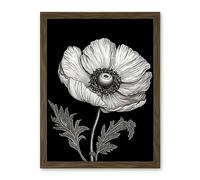 Artery8 White on Black Single Detailed Anemone Flower Artwork Framed Wall Art Print 18X24 Inch