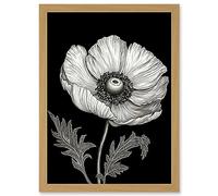 Artery8 White on Black Single Detailed Anemone Flower Artwork Framed Wall Art Print A4