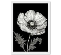 Artery8 White on Black Single Detailed Anemone Flower Artwork Framed Wall Art Print A4