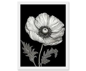 Artery8 White on Black Single Detailed Anemone Flower Artwork Framed Wall Art Print A4