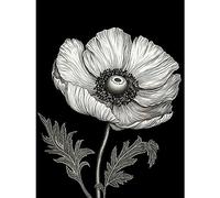 Artery8 White on Black Single Detailed Anemone Flower Extra Large XL Wall Art Poster Print