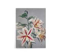 Artery8 White Pink Spotted Lily Flowers Canvas Wall Art Print Kazumasa | Size: W24" x H32" Artery8 Pink W24" x H32"