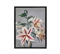 Artery8 White Pink Spotted Lily Flowers Framed Canvas Wall Art Print Kazumasa | Size: W18" x H24" Artery8 Pink W18" x H24"
