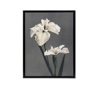 Artery8 White Water Iris Flowers Framed Canvas Wall Art Print Ogawa Kazumasa in Grey | Size: W18" x H24" Artery8 Grey W18" x H24"
