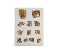 Artery8 Wild Animal Safari Big Cats Illustration Lydekker Canvas Wall Art in White | Size: W12" x H16" Artery8 White W12" x H16"