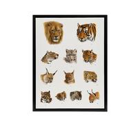 Artery8 Wild Animal Safari Big Cats Illustration Lydekker Framed Canvas Art in White | Size: W12" x H16" Artery8 White W12" x H16"
