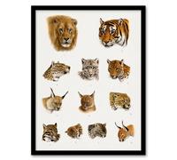 Artery8 Wild Animal Safari Big Cats Illustration Lydekker Framed Wall Art in White | Size: A3 Artery8 White A3