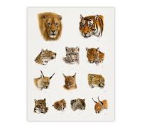 Artery8 Wild Animal Safari Big Cats Illustration Lydekker Wall Art Poster in White | Size: W12" x H16" Artery8 White W12" x H16"