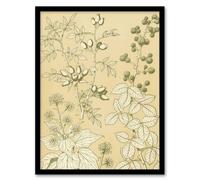 Artery8 Wild Rose Ivy Blackberry Botanical Jones Vintage Framed Wall Art Print in Beige | Size: A4 Artery8 Beige A4