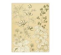 Artery8 Wild Rose Ivy Blackberry Botanical Unframed Wall Art Print Poster 12X16 Artwork By Owen Jones : Detailed Floral Composition Adding Texture Depth And Natural Style To Tranquil Rooms