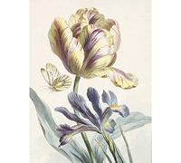 Artery8 Willem Van Leen Tulip And Iris Still Life Premium Wall Art Canvas Print 18X24 Inch