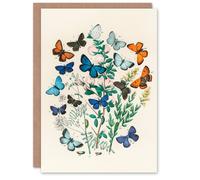 Artery8 William Forsell Kirby Art Card Blue and Orange Butterflies