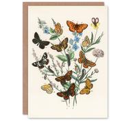 Artery8 William Forsell Kirby Art Card Butterflies and Caterpillars