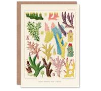 Artery8 William Saville Kent Art Card Great Barrier Reef Corals