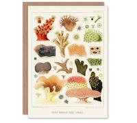Artery8 William Saville Kent Art Card Great Barrier Reef Corals Illustration
