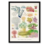 Artery8 William Saville Kent Framed Wall Art Great Barrier Reef Alcyonaria in White | Size: A4 Artery8 White A4