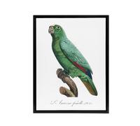 Artery8 Yellow Crowned Amazon Parrot Levaillant Framed Canvas Wall Art Print in White | Size: W24" x H32" Artery8 White W24" x H32"