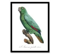 Artery8 Yellow Crowned Amazon Parrot Levaillant Framed Wall Art Print in White | Size: A4 Artery8 White A4