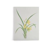 Artery8 Yellow Lilies Canvas Wall Art Print : Artwork by Vintage Japanese Botanical 24x32 Golden floral study bringing warmth and optimism to kitchens or family rooms