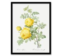 Artery8 Yellow Rose Botanical Redoute Vintage Framed Wall Art Print in White | Size: W12" x H16" Artery8 White W12" x H16"