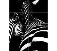 Artery8 Zebra Black And White Photo XL Giant Panel Poster (8 Sections)