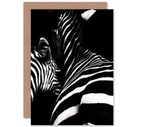 Fine Art Prints Zebra Black And White Photo Greeting Card With Envelope Inside Premium Quality