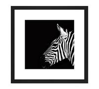 Artery8 Zebra Head Animal Black White Photo 8X8 Inch Square Wooden Framed Wall Art Print Picture with Mount