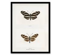 Artery8 Zebra Longwing Butterfly Sherman Denton Framed Wall Art Print in White | Size: W12" x H16" Artery8 White W12" x H16"