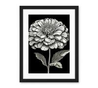 Artery8 Zinnia Flower Bloom Black and White Illustration Artwork Framed Wall Art Print 18X24 Inch