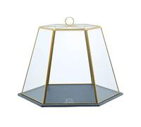 Artesa Serving Cloche