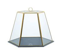 Artesa Serving Cloche