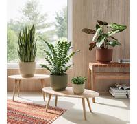 Artevasi Miami Flower 16 cm Mocha Brown-Modern Recycled Plastic Planter with Matte Surface-Decorative Plant Pot, 16cm